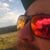 Dylan J. Schlie's profile image