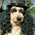 Barry Hooper's profile image