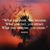 Michelle D Smith's profile image