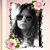 Anastasia Elizabeth Chritton's profile image