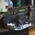 Carol Immerfall-Fralick's profile image