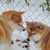 Tammy Pieske's profile image