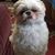 Jaynice Hopkins Hamdorf's profile image