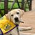 Mary Ann Stabile Bonder's profile image