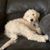 Mandi Delbridge Lew's profile image
