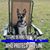 Sharon Celeste Kohenskey's profile image