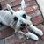 Sheila Wills-Brandt's profile image