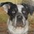 Donna Rogers's profile image