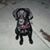 Kathie Masich's profile image