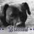 Robert L Brown's profile image