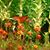 Cindi Slattery's profile image