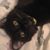 Kristy Scott's profile image
