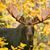 Gary Spillner's profile image