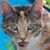 Mary Ann Dyess's profile image
