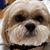 David Cassidy's profile image