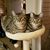 Cindy Lehr's profile image