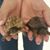 Jo Beth Murphree DeVore's profile image