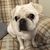 Ann Therese's profile image