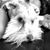 Nuria Ne Va's profile image