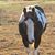 Amanda Marie Clodfelter's profile image