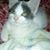 Dawn Sullivan's profile image