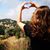 Hilary Ferencak's profile image