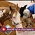 Teri Travis's profile image