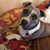 Beth Tominey's profile image