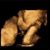 Cyndi Jenkins-Williams's profile image