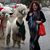 Marianne Brenna Kelly's profile image