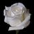 Angela L Mutanen Valigurskaya's profile image