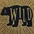 Brian Wildrick's profile image