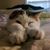 Patricia Hyrowski's profile image