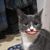 Debbie Klos Burris's profile image