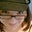 Sor D's profile image