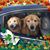 Judy Aronson Webb's profile image