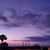 Myrna Kines's profile image