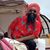 Parminder Singh Sahi's profile image