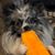 Karissa Feindt Diercks's profile image