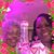 Janice Smith's profile image