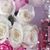 Shannon Nettrouer's profile image