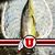 Kenneth Saenz's profile image
