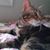 Tammy Spitler's profile image