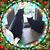 Kathy Halbert's profile image