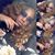 Antonia Surles's profile image