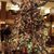 Carol Webb's profile image