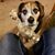 Debbie Derton's profile image