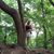 Alissa M. Shoults's profile image