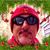 Tony Tomasino's profile image