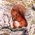 Jennifer Boeyink Hartley's profile image
